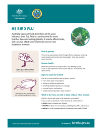 H5 bird flu factsheet