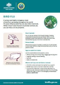 Pulu Keeling National Park bird flu factsheet