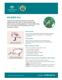 H5 bird flu fact sheet